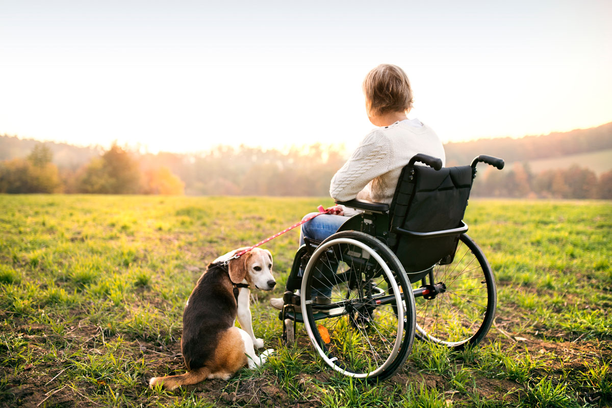 a-senior-woman-in-wheelchair-with-dog-in-autumn