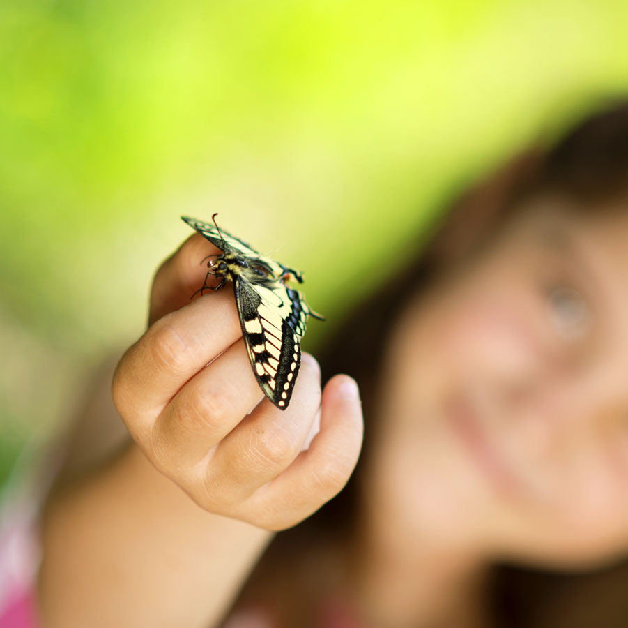 girl-with-butterfly